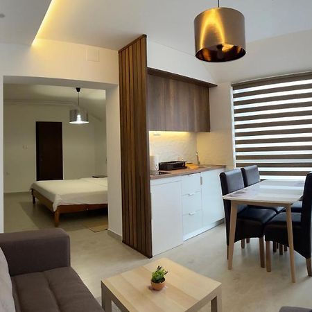 Villa I Spa Stevic Veliko Gradiste Bagian luar foto