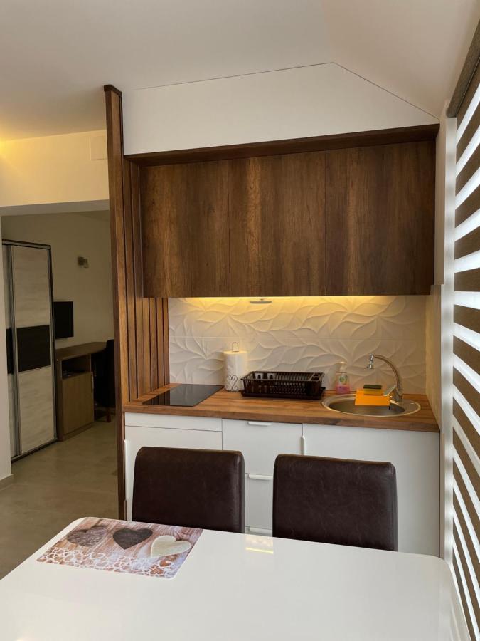 Villa I Spa Stevic Veliko Gradiste Bagian luar foto