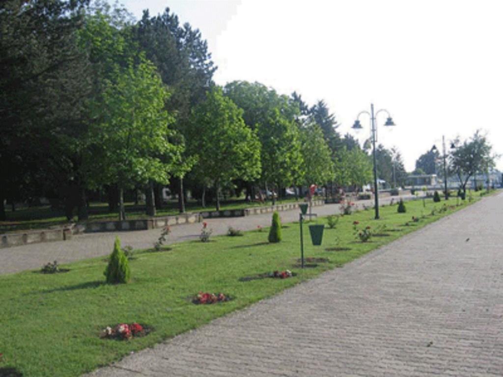 Villa I Spa Stevic Veliko Gradiste Bagian luar foto